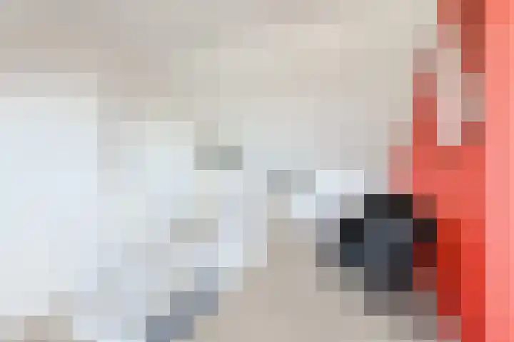 Schaepmanlaan 8 Oosterhout thumbnail 45