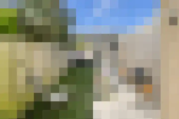 Schaepmanlaan 8 Oosterhout thumbnail 46