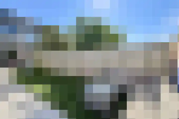 Schaepmanlaan 8 Oosterhout thumbnail 49