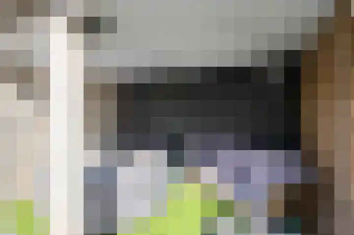 Schaepmanlaan 8 Oosterhout thumbnail 50