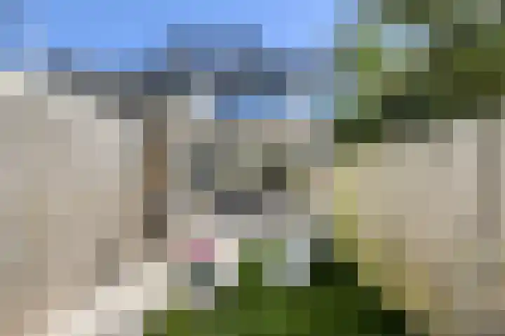 Schaepmanlaan 8 Oosterhout thumbnail 51
