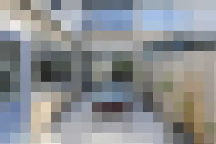Schaepmanlaan 8 Oosterhout thumbnail 52