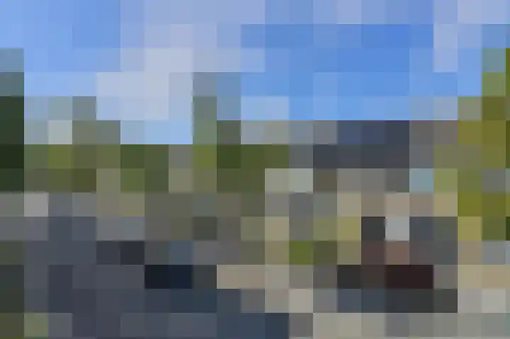 Schaepmanlaan 8 Oosterhout thumbnail 6