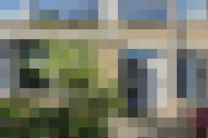 Schaepmanlaan 8 Oosterhout thumbnail 9