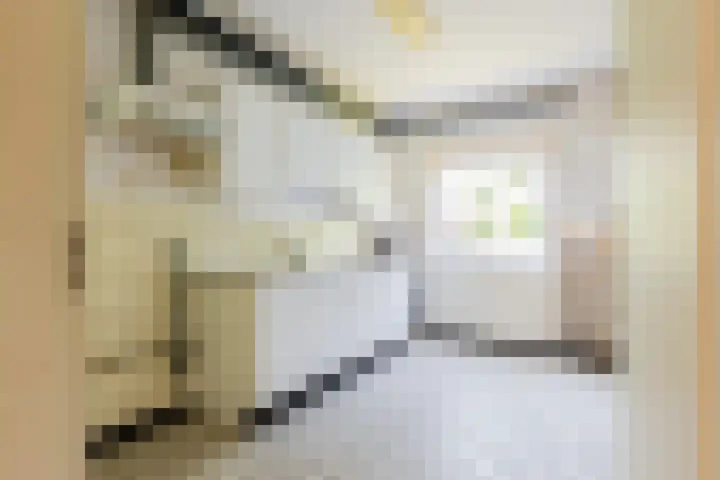 Schaepmanlaan 83 Groningen thumbnail 17