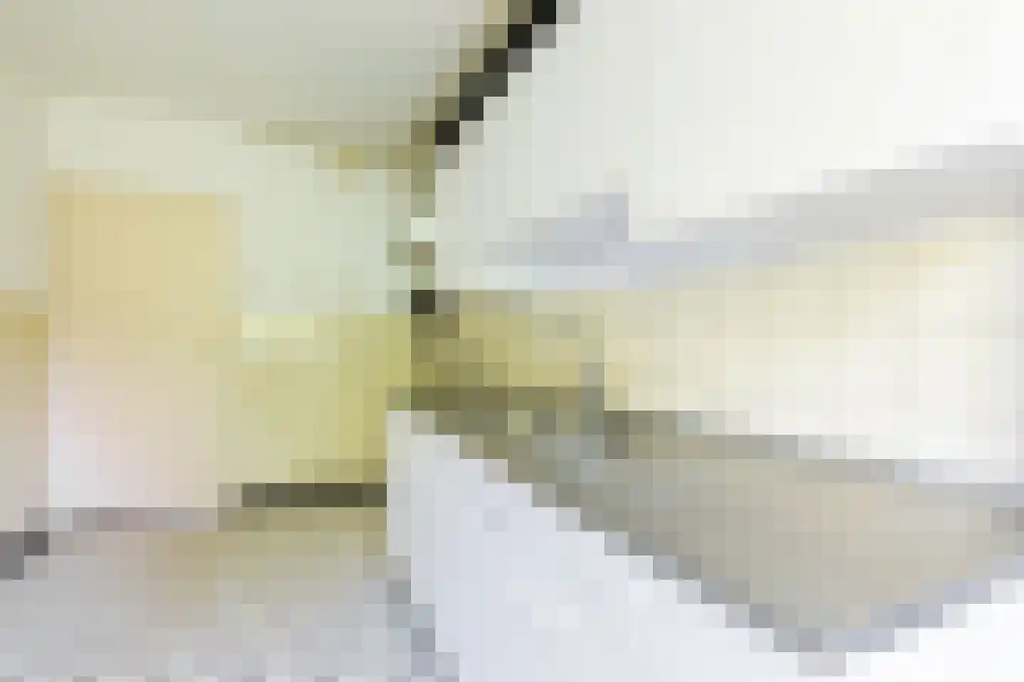 Schaepmanlaan 83 Groningen thumbnail 18
