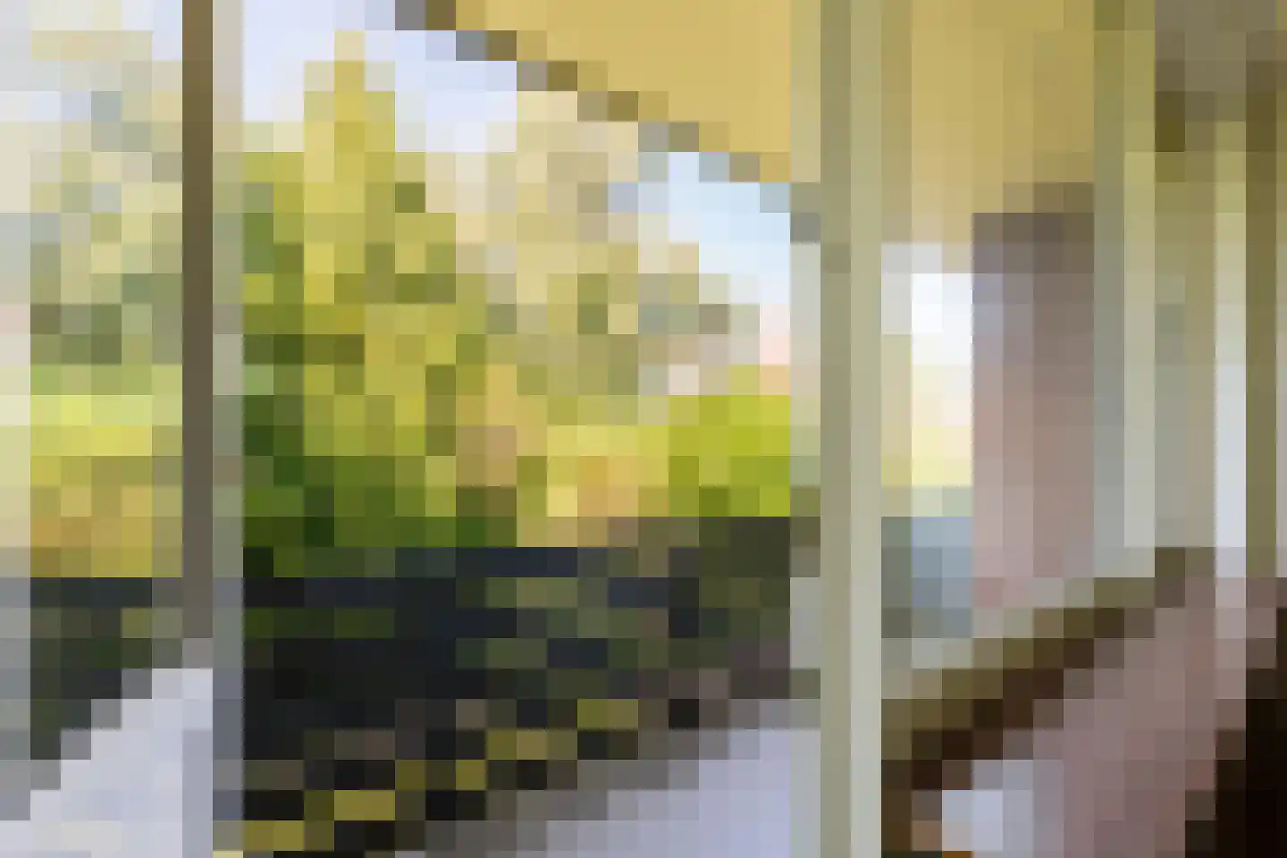 Schaepmanlaan 83 Groningen thumbnail 24