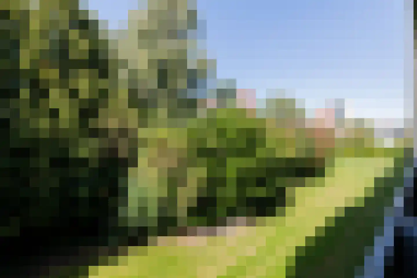 Schaepmanlaan 83 Groningen thumbnail 25