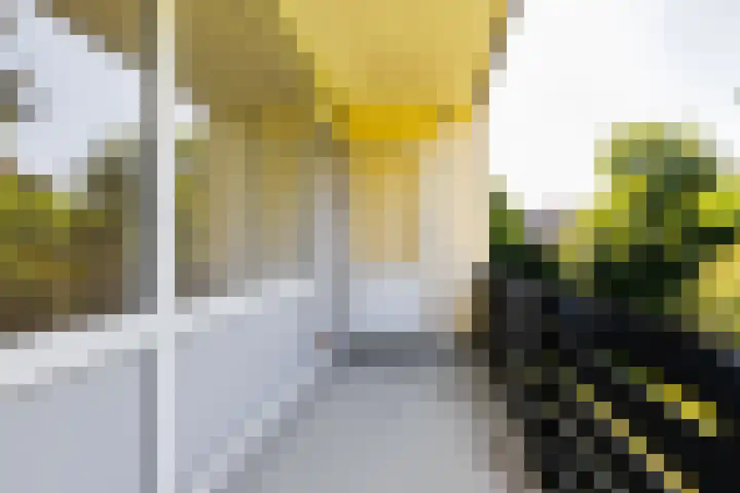 Schaepmanlaan 83 Groningen thumbnail 26