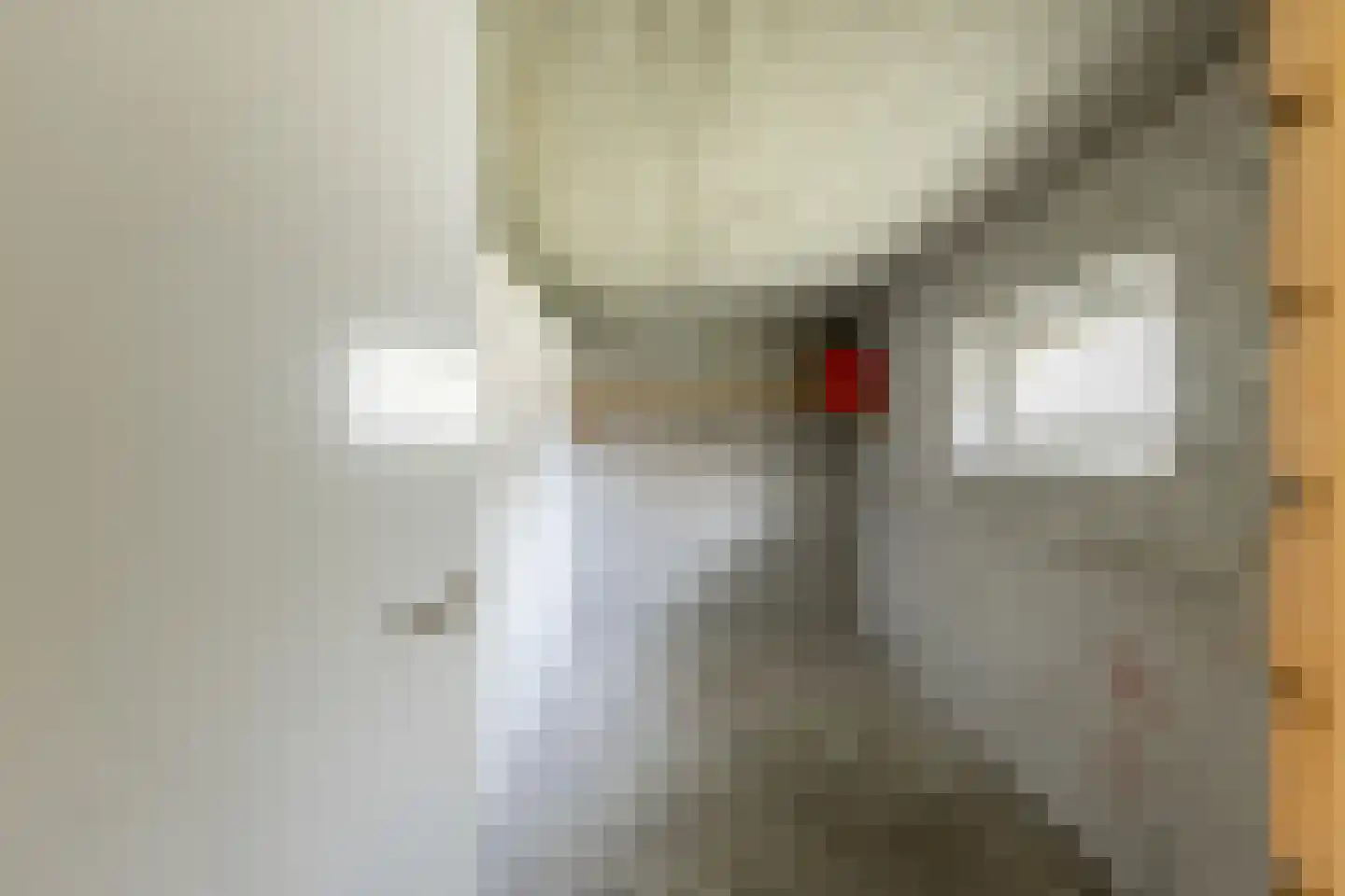 Schaepmanlaan 83 Groningen thumbnail 33