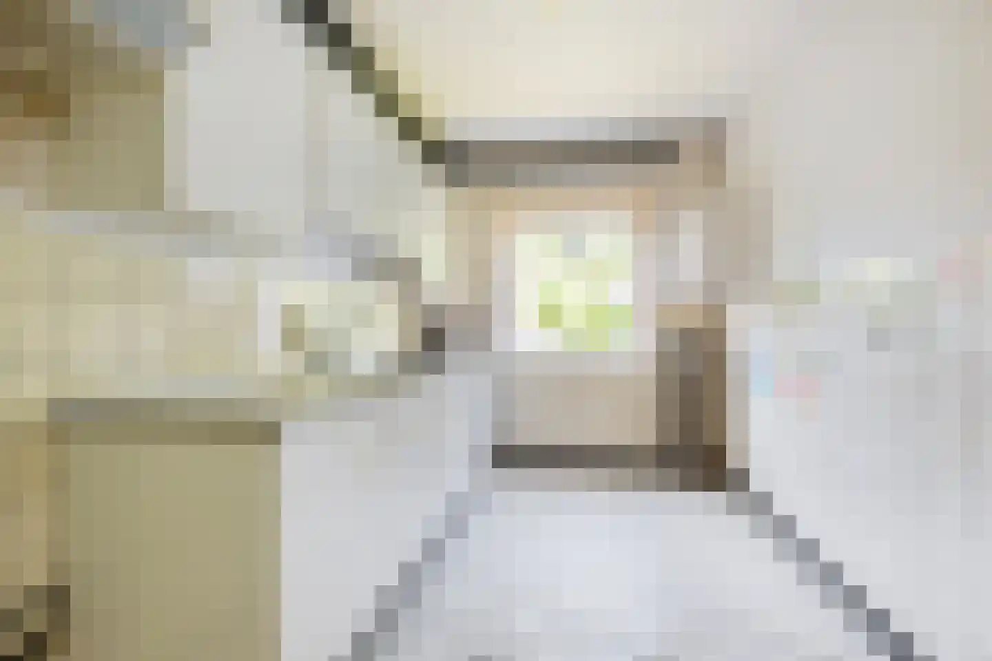 Schaepmanlaan 83 Groningen thumbnail 4