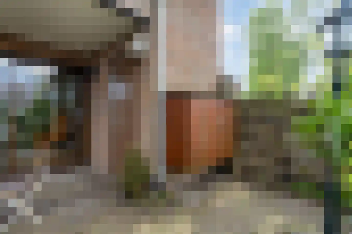Schaepmanplein 13 Leiden thumbnail 31