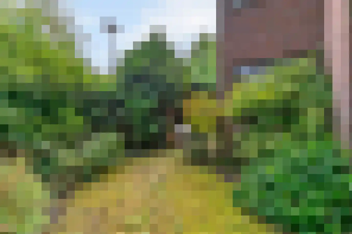 Schaepmanplein 21 Leiden thumbnail 33