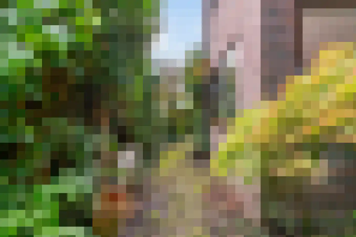 Schaepmanplein 21 Leiden thumbnail 34