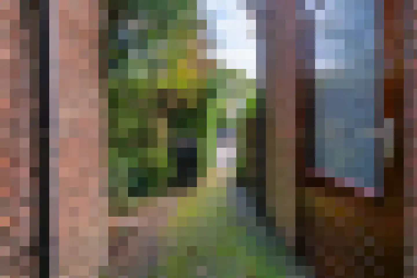 Schaepmanplein 21 Leiden thumbnail 36