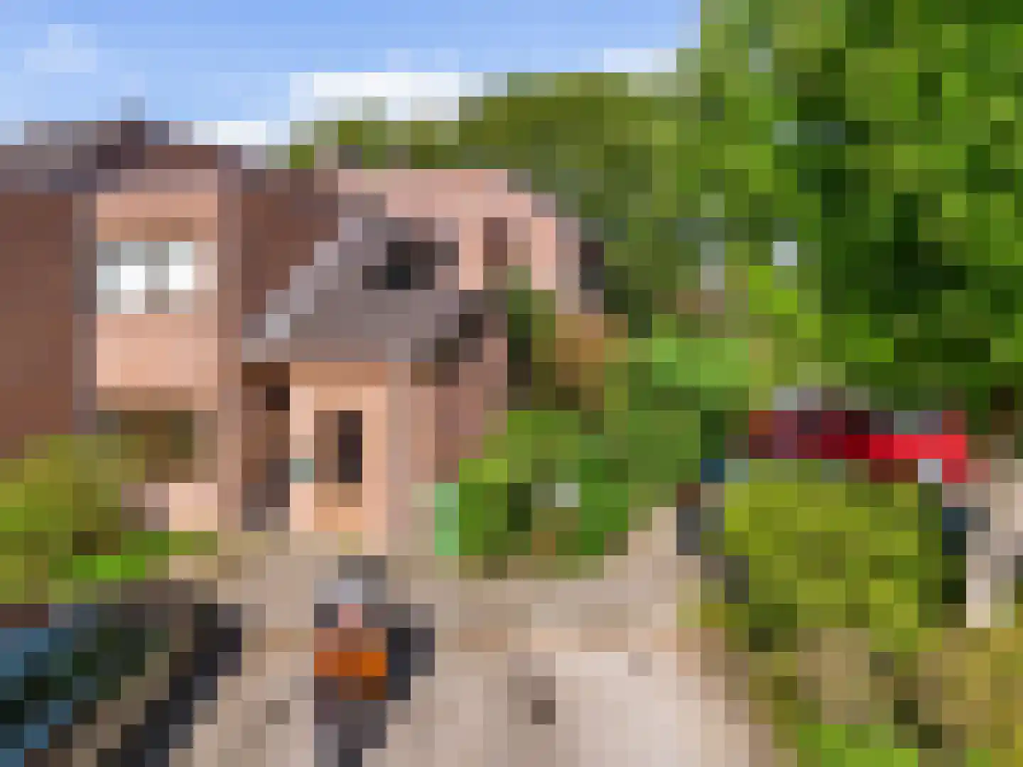 Schaepmanplein 21 Leiden thumbnail 5