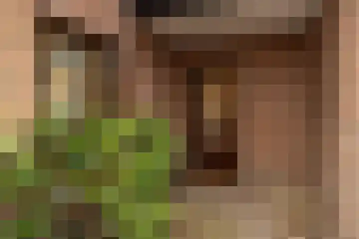 Schaepmanplein 7 Leiden thumbnail 7
