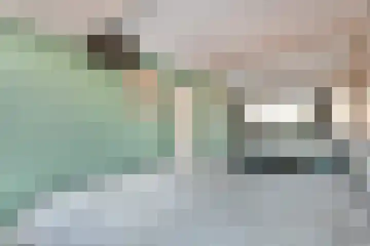Schaepmanstraat 12 Naaldwijk thumbnail 13