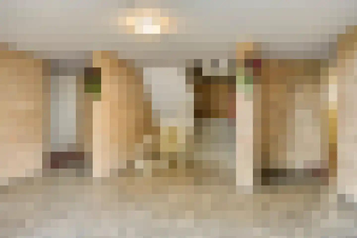 Schaepmanstraat 133 Vlissingen thumbnail 22