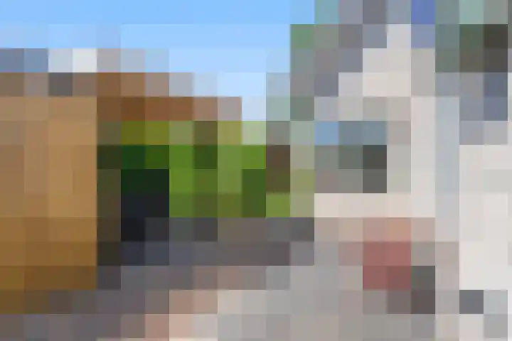 Schaepmanstraat 14 Lunteren thumbnail 31