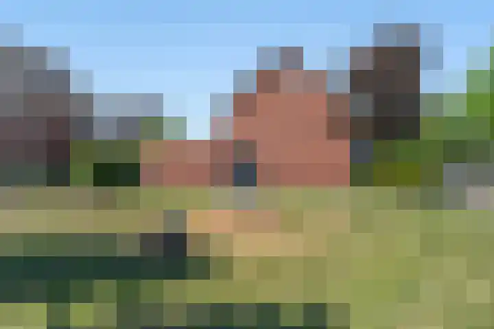 Schaepmanstraat 14 Lunteren thumbnail 40