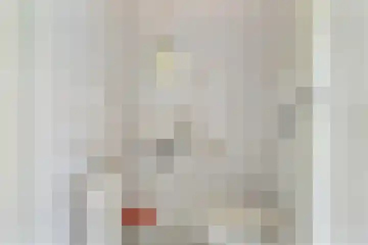 Schaepmanstraat 14 Lunteren thumbnail 7