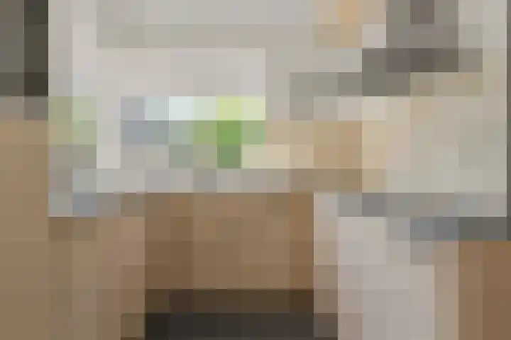 Schaepmanstraat 14 Lunteren thumbnail 8
