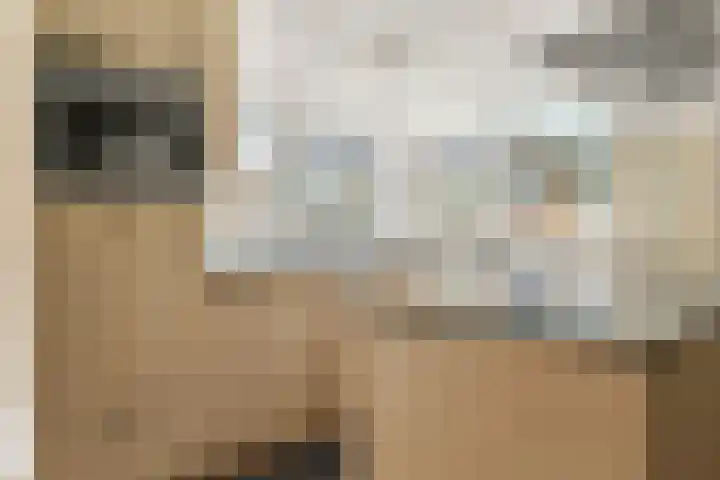 Schaepmanstraat 14 Lunteren thumbnail 9