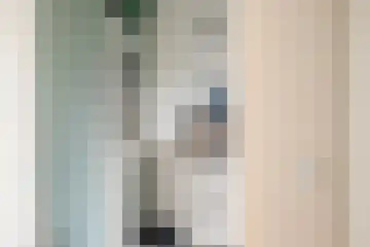 Schaepmanstraat 14 Son en Breugel thumbnail 10