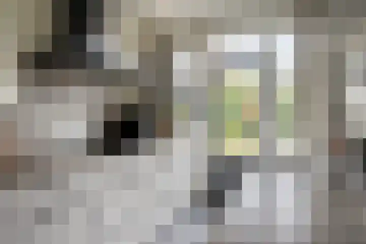 Schaepmanstraat 14 Son en Breugel thumbnail 11