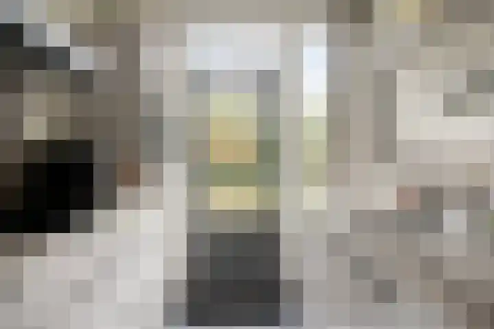 Schaepmanstraat 14 Son en Breugel thumbnail 12