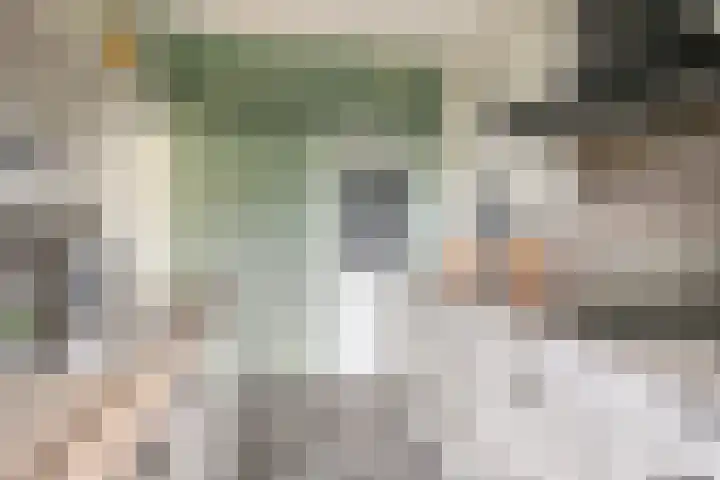 Schaepmanstraat 14 Son en Breugel thumbnail 13