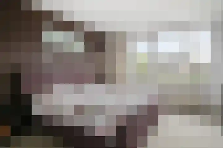 Schaepmanstraat 14 Son en Breugel thumbnail 16
