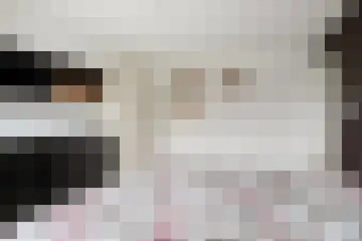 Schaepmanstraat 14 Son en Breugel thumbnail 17