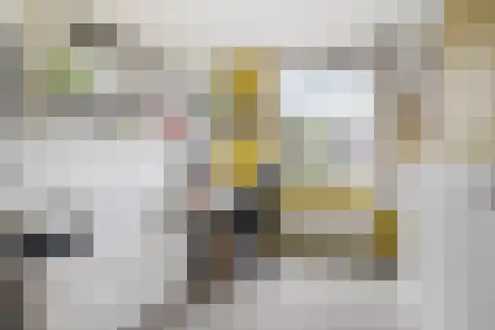 Schaepmanstraat 14 Son en Breugel thumbnail 18