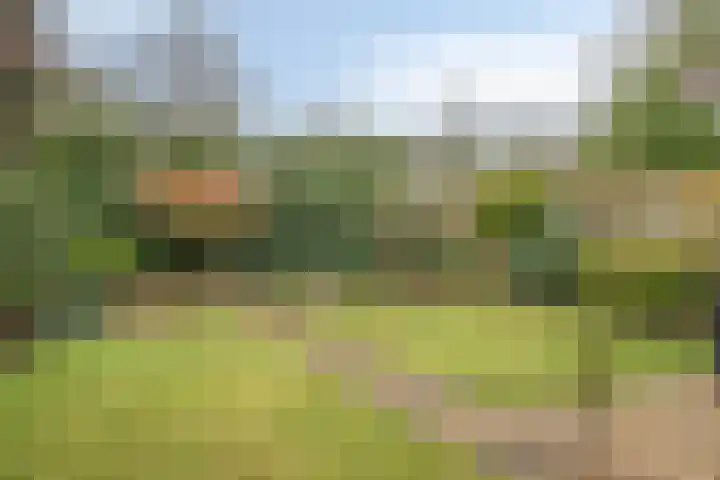 Schaepmanstraat 14 Son en Breugel thumbnail 31