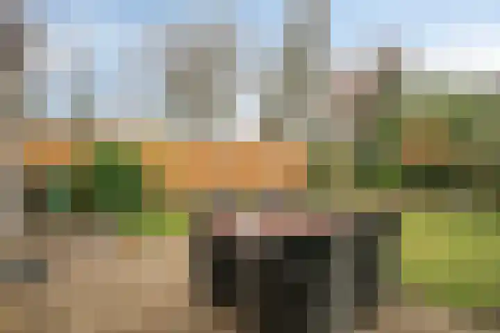 Schaepmanstraat 14 Son en Breugel thumbnail 32