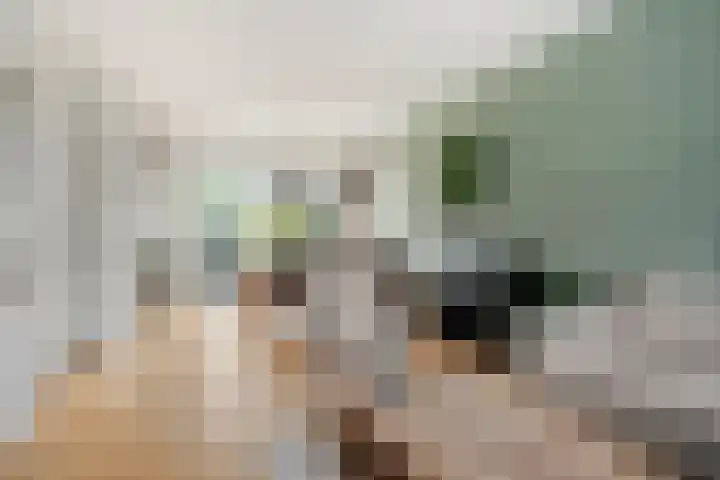 Schaepmanstraat 14 Son en Breugel thumbnail 6