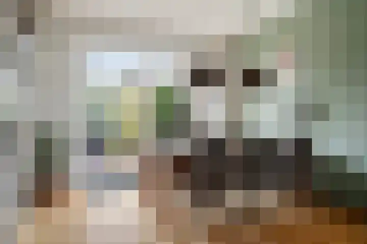 Schaepmanstraat 14 Son en Breugel thumbnail 7