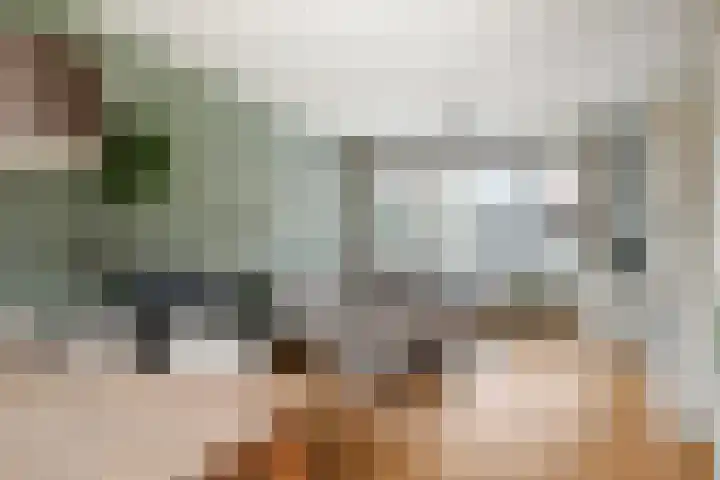 Schaepmanstraat 14 Son en Breugel thumbnail 8