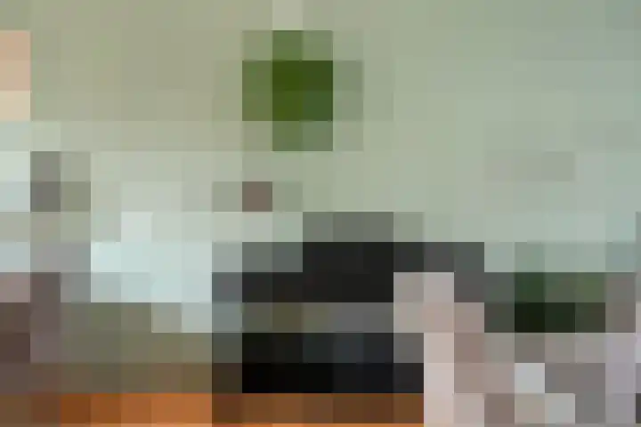 Schaepmanstraat 14 Son en Breugel thumbnail 9