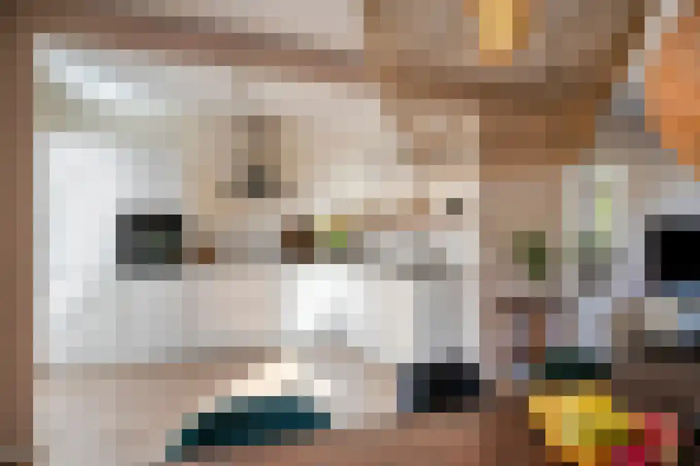 Schaepmanstraat 15 Son en Breugel thumbnail 10