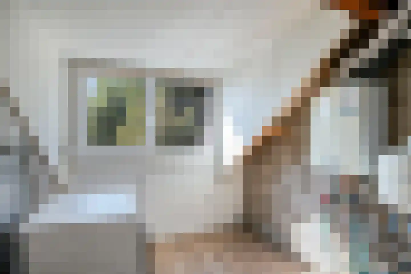 Schaepmanstraat 15 Son en Breugel thumbnail 34