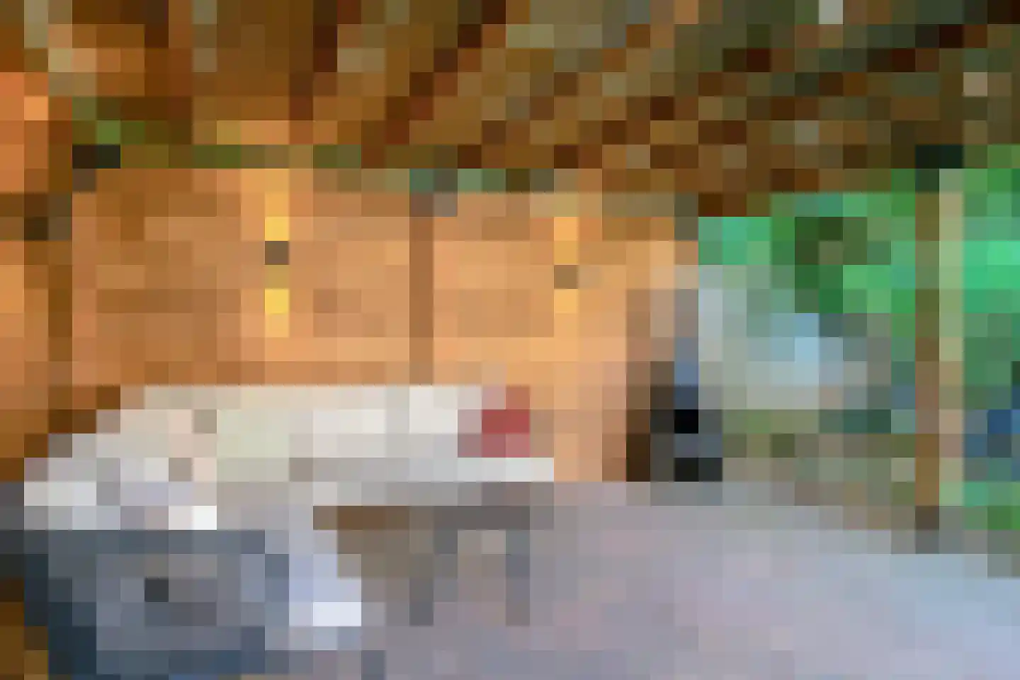 Schaepmanstraat 15 Son en Breugel thumbnail 40