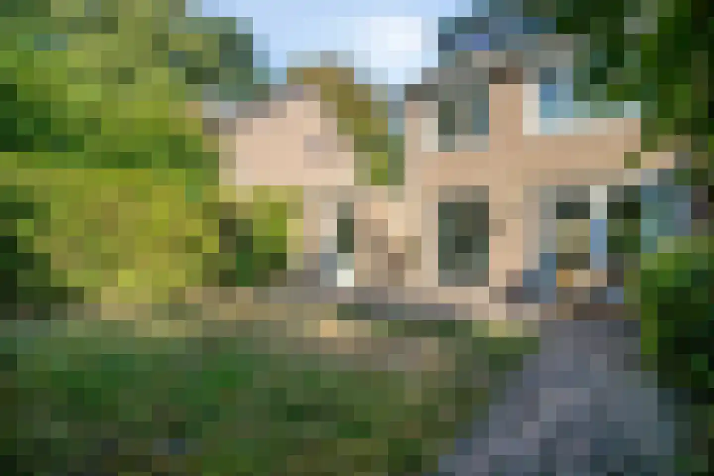 Schaepmanstraat 15 Son en Breugel thumbnail 41