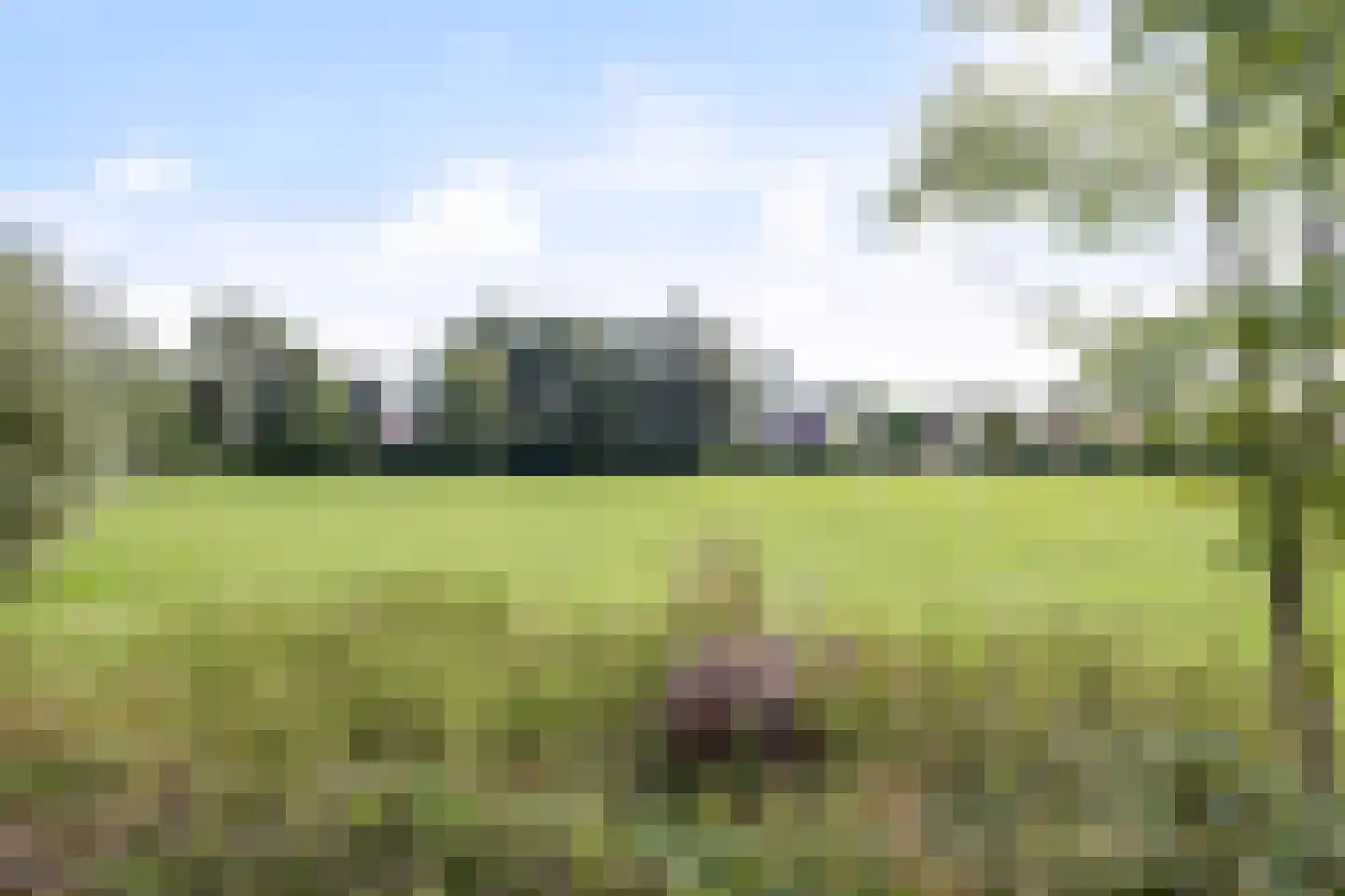 Schaepmanstraat 15 Son en Breugel thumbnail 43