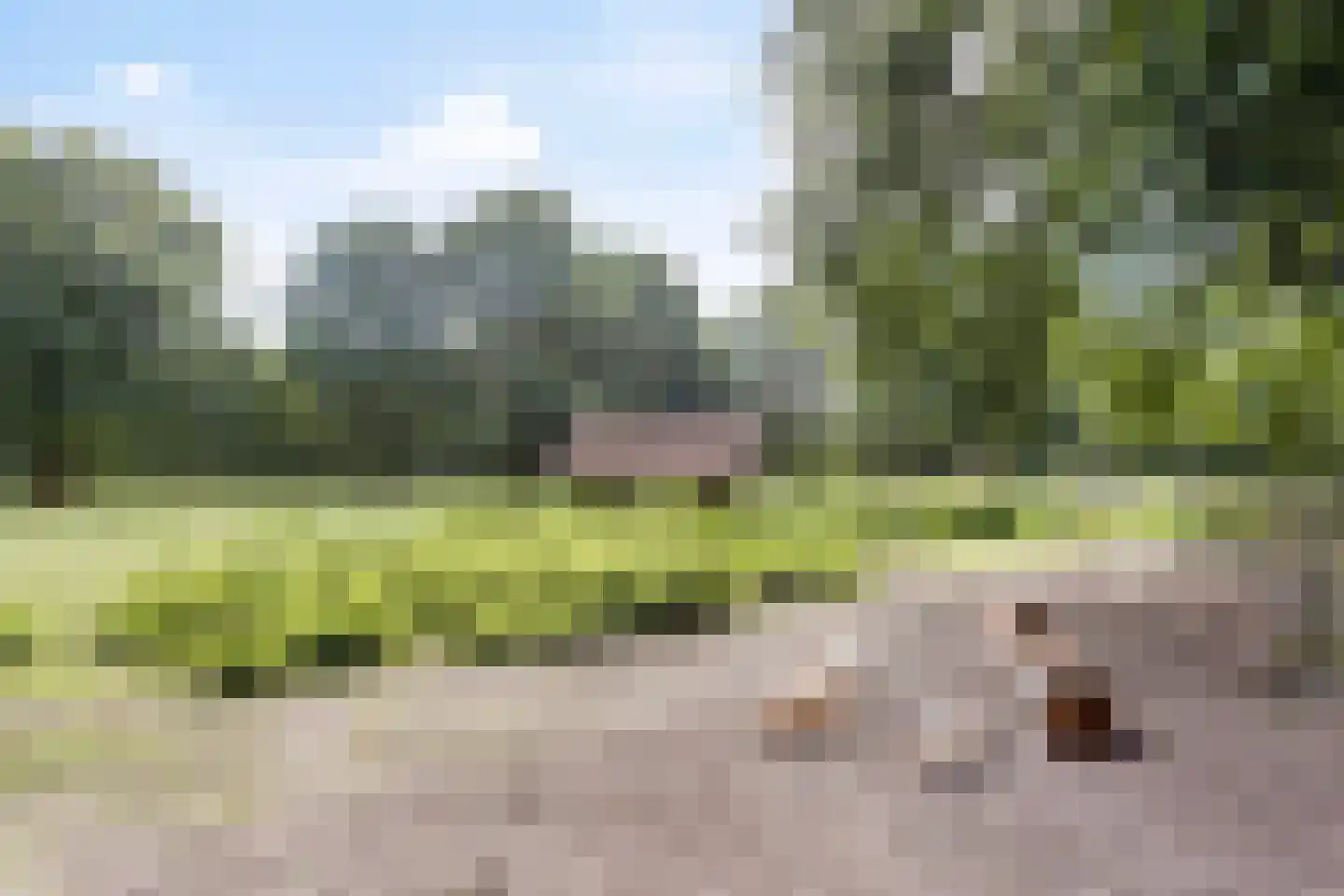 Schaepmanstraat 15 Son en Breugel thumbnail 49