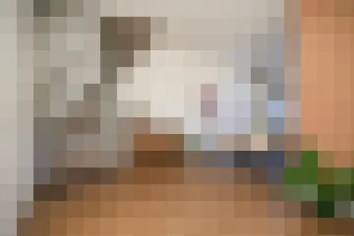 Schaepmanstraat 18 Geldermalsen thumbnail 9