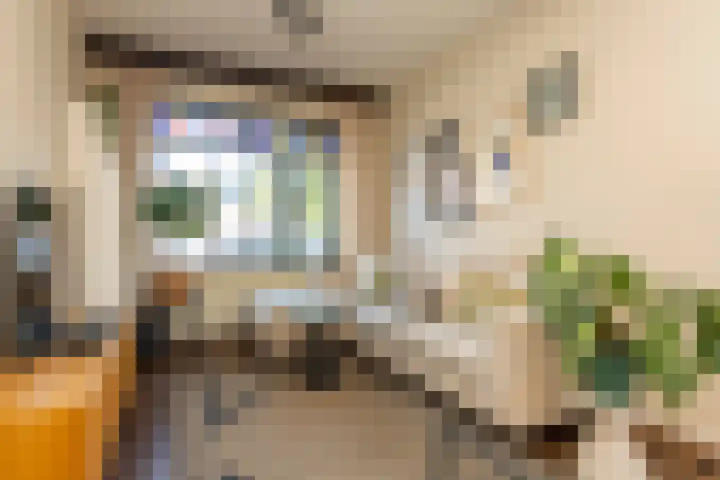 Schaepmanstraat 18 Tilburg thumbnail 10