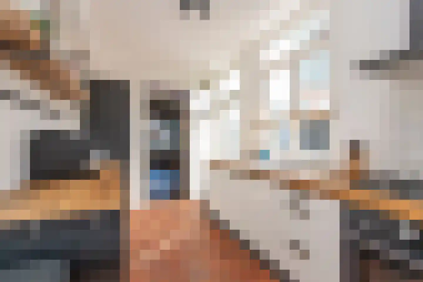 Schaepmanstraat 18 Tilburg thumbnail 14